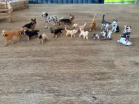 Schleich Tiere - Hunde/Katzen als Set Schleswig-Holstein - Ellerau  Vorschau