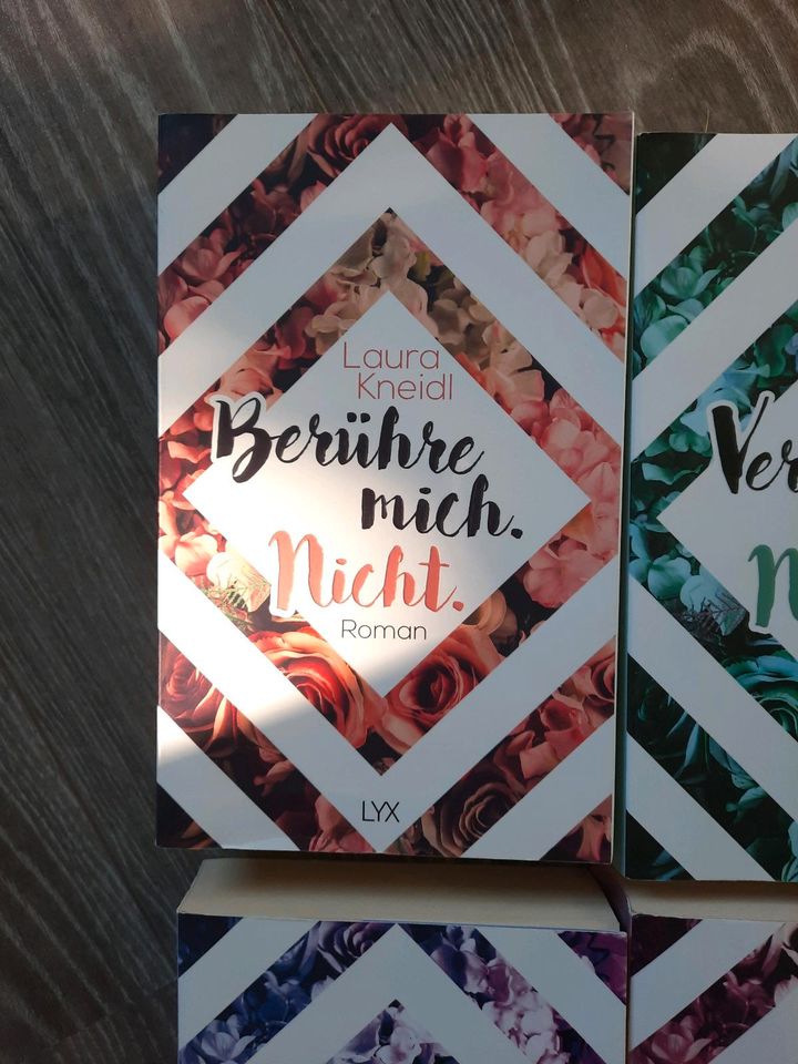Laura Kneidl Roman Buchreihe Berühre,Verliebe,Vergiss,Zerbrich in Scharbeutz
