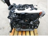 Audi A4 A5 Q5 3,0 TDI CAP Motor Triebwerk Engine Nordrhein-Westfalen - Dorsten Vorschau