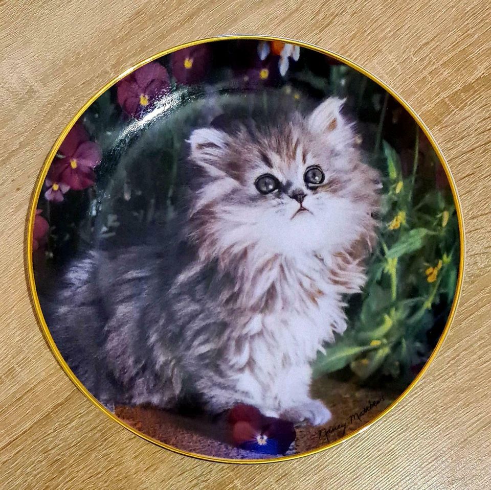 Katzen Sammelteller-Franklin Mint-Purrfection!-Nancy Matthews in Nürnberg (Mittelfr)