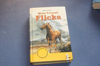 Mein Freund Flicka Baden-Württemberg - Ochsenhausen Vorschau