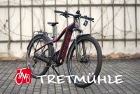 Bergamont E-Revox Premium Pro FMN EQ 750 Wh E-bike Sachsen - Radebeul Vorschau