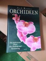 Buch über Orchideen Niedersachsen - Wiesmoor Vorschau