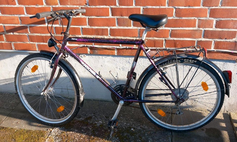 Fischer Trend Line Fahrrad 26 Zoll in Dassendorf