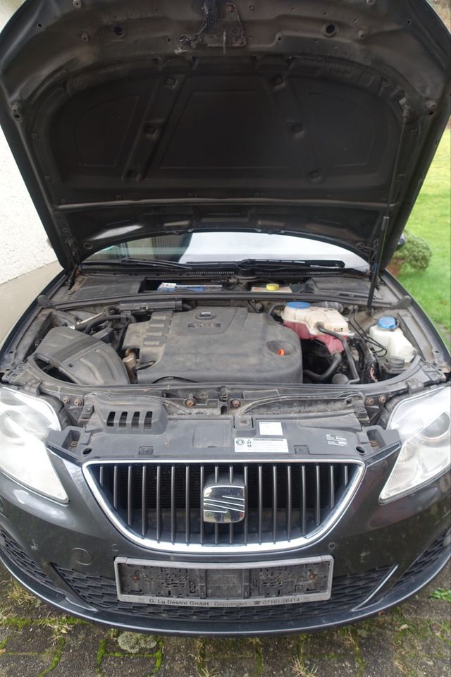 Seat Exeo ST in Obrigheim