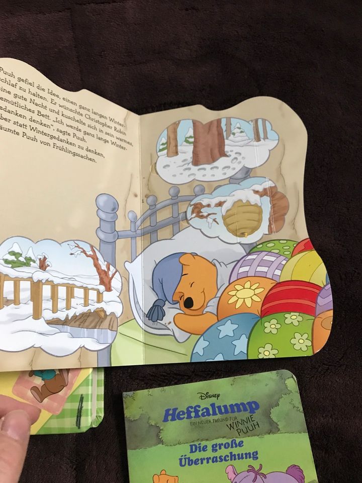 Winnie puuh Pappbücher in Triebel