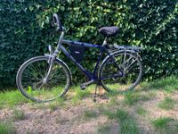 Trecking Bike / Fahrrad Bergamont Vagonda Shimano-Schaltung Kr. München - Ottobrunn Vorschau