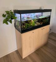 Aquarium 240l mit Unterschrank + Lampe Eheim Classic Led plants Nordrhein-Westfalen - Mönchengladbach Vorschau