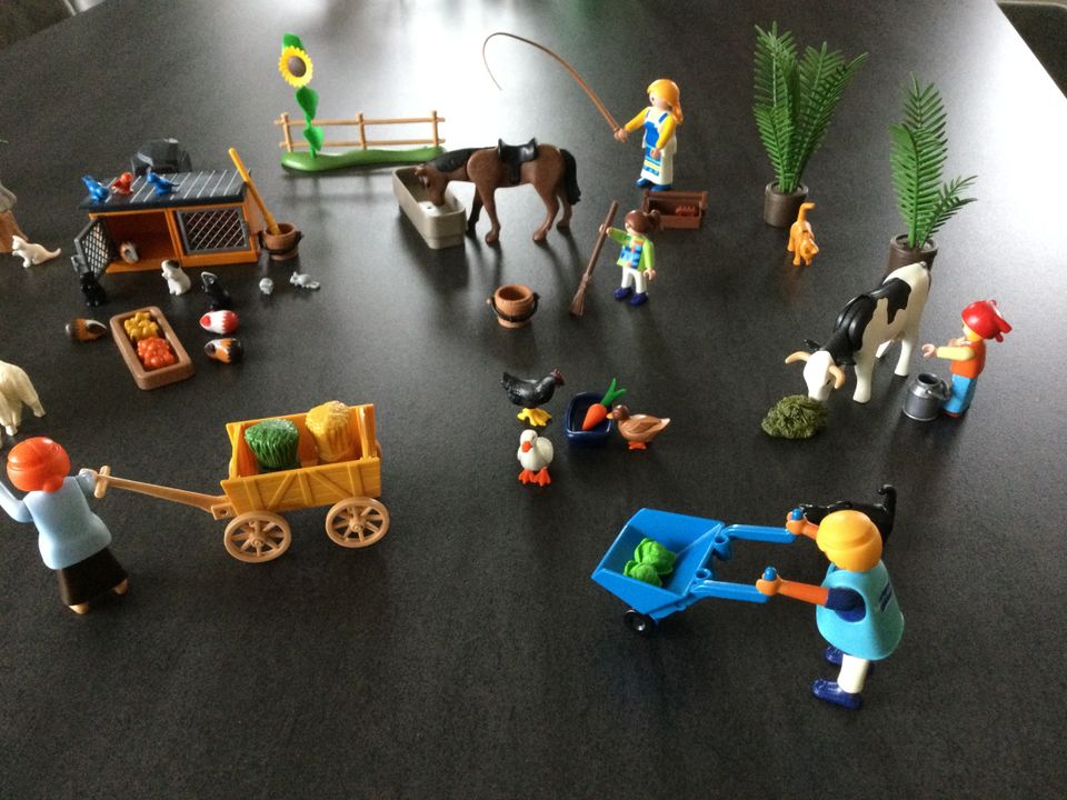 Playmobil ,,Streichelzoo" Konvolut in Brombachtal