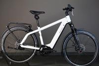 Vorschaubild einer Anzeige von Wellmannbikes