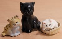 Kleine Figuren Katzen für Vitrine Setzkasten Keramik Porzellan 3K Sachsen-Anhalt - Dessau-Roßlau Vorschau