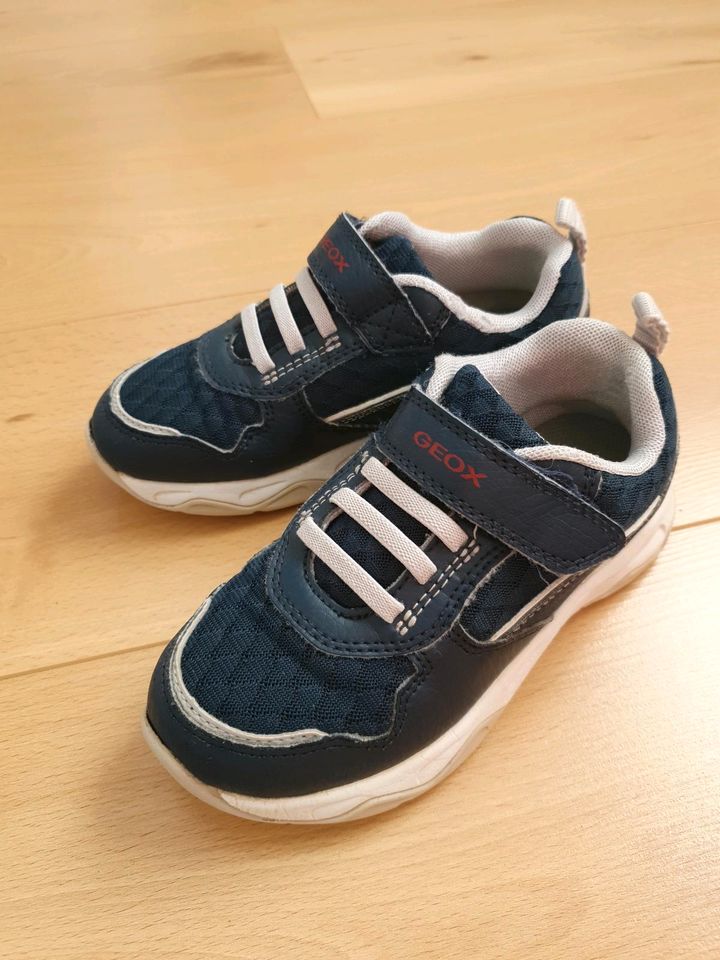 Turnschuhe/ Sneaker von Geox in Größe 29 für Jungs in Denzlingen