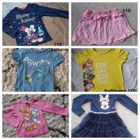 Kleidungspaket Gr 110 Mädchen Minnie Paw Patrol Kreis Pinneberg - Uetersen Vorschau