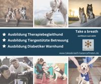 Ausbildung Tiergestütze Therapie für Pflege und  Betreuung Nordrhein-Westfalen - Burscheid Vorschau