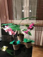 Kunstorchideen, Kunstpflanze im Set für 10€ Bayern - Schwabach Vorschau