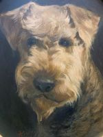 Aquarell Schnauzer / Pinscher signiert (1994) Bonn - Tannenbusch Vorschau