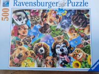 Ravensburger Puzzle 500 Teile Köln - Porz Vorschau