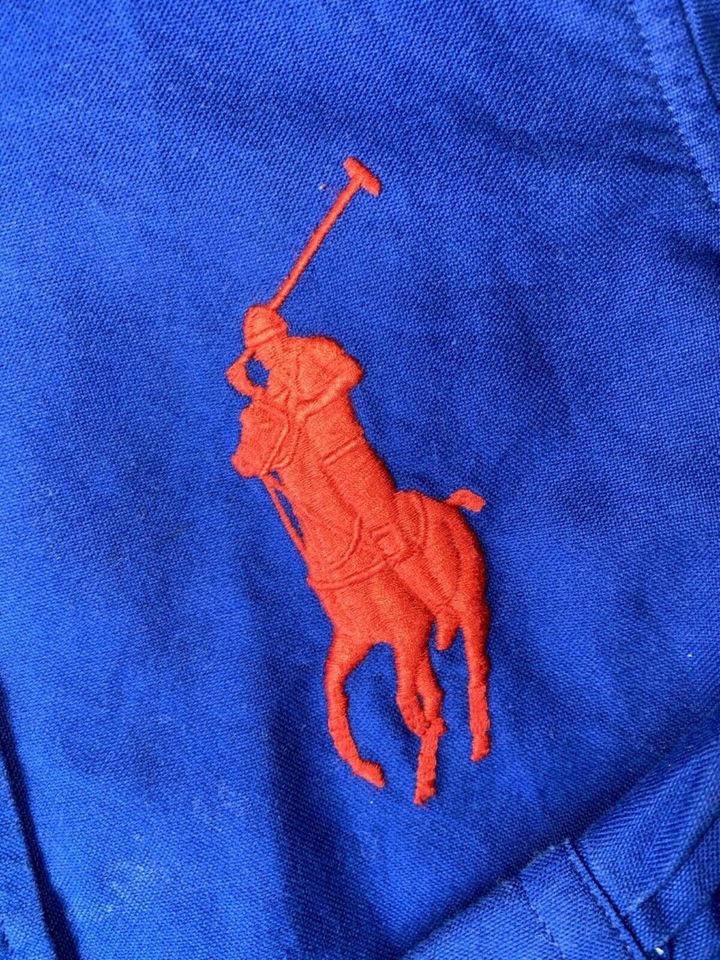 Original Polo Ralph Lauren Hemd Pony royalblau in 110 in Hennef (Sieg)