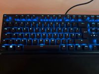 Razer Blackwidow V3 | Razer Green Switches (Clicky) Sachsen-Anhalt - Gardelegen   Vorschau