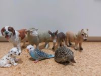 7 Schleich Tiere, nur als Set zu verkaufen Nordrhein-Westfalen - Halle (Westfalen) Vorschau