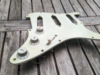 Crazy Parts '62 Pickguard +crazy Parts Knobs, Cts Pots Altona - Hamburg Ottensen Vorschau