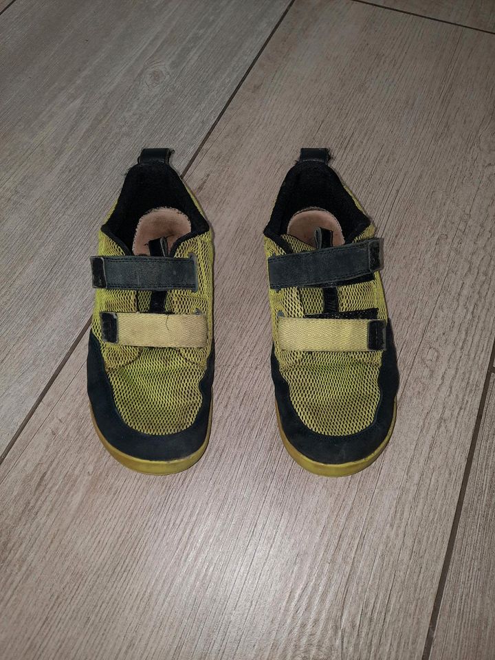 Geox Halbschuh Gr. 35 wie Barfußschuh in Friedrichshafen