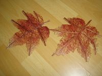 2 x Dekoration Blatt Blätter braun rot 18 x 18 cm. Nordrhein-Westfalen - Sankt Augustin Vorschau