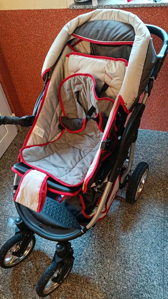 Bergsteiger Kinderwagen mit viel Zubehör in Reichenbach (Vogtland)