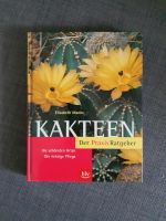 Kakteen, Elisabeth Manke Baden-Württemberg - Sindelfingen Vorschau