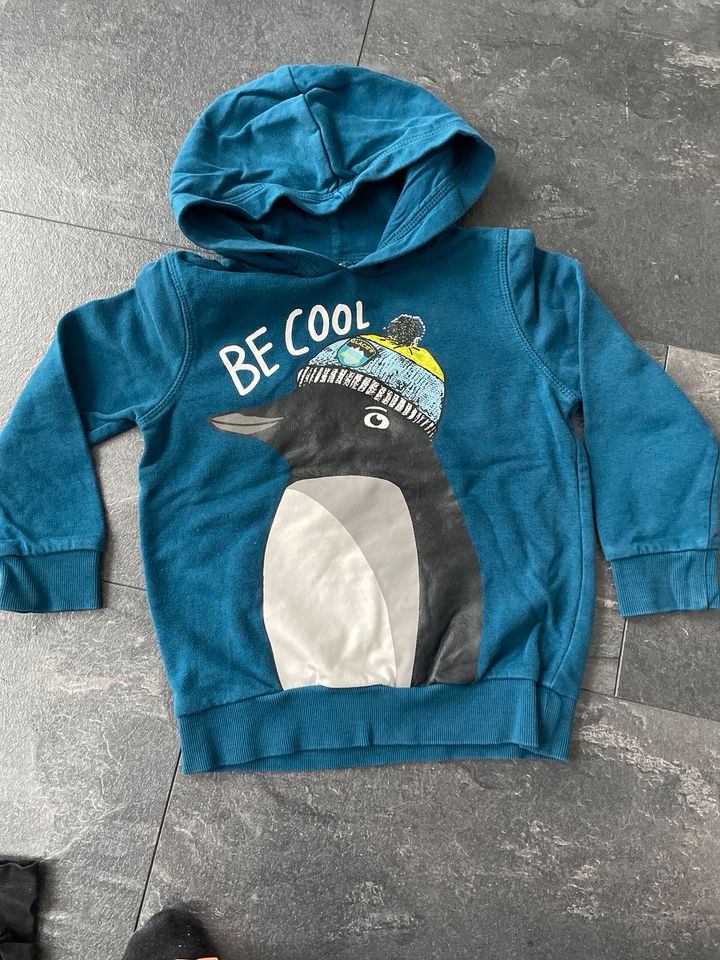 Kinderpullover Hoodie Gr. 110 in Giebelstadt