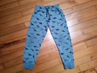 Jogging-Hose Größe 110/116 Sweat-Hose Dinos Saarland - Großrosseln Vorschau