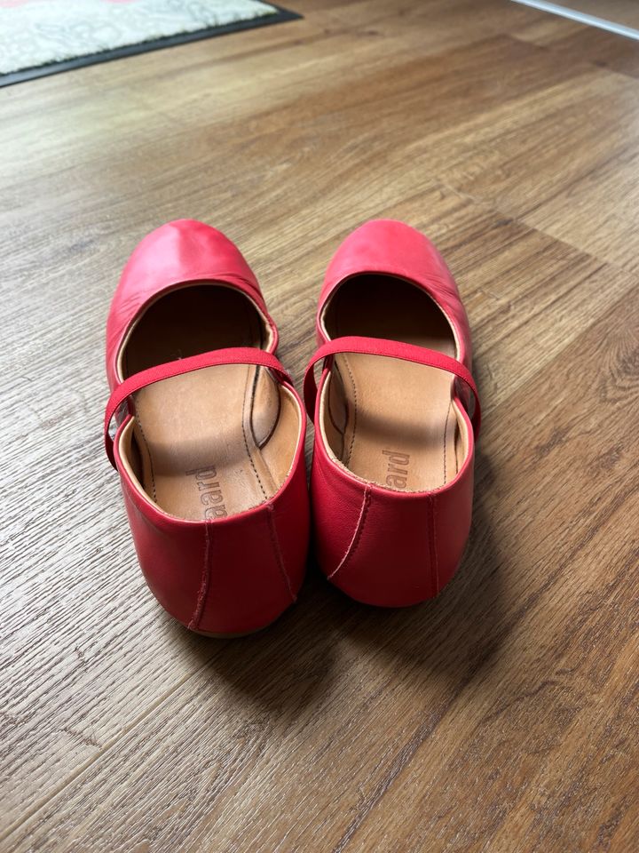 Bisgaard Ballerinas Gr. 37 in Uhldingen-Mühlhofen