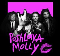 2 Tickets fürs Konzert Poshlaya Molly in München Rheinland-Pfalz - Andernach Vorschau
