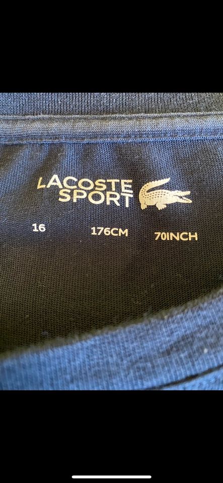 Lacoste T-Shirt in Moers