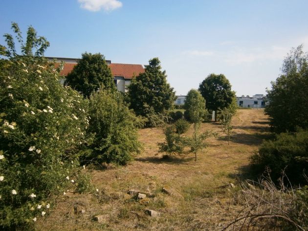 VERKAUF - ca. 8.415 m² Grundstück mit Wohnentwicklungspotential in Ilsenburg in Ilsenburg (Harz)