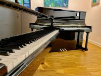 Flügel oder Klavier? Schimmel C169T oder Bösendorfer GU120? Niedersachsen - Verden Vorschau