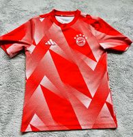 Fc Bayern München Adidas Aufwärm Trikot T Shirt Größe 152 Bayern - Happurg Vorschau