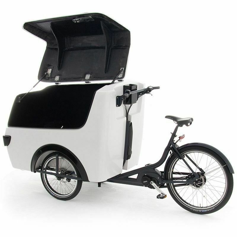 Babboe Pro Trike XL Lastenfahrrad elektrisches Lastenrad in Hamburg-Mitte -  Hamburg Altstadt | eBay Kleinanzeigen ist jetzt Kleinanzeigen