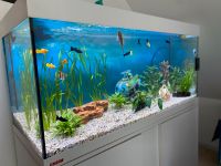 Aquarium-Becken ca. 100x40x45 für Bastler Bayern - Weisendorf Vorschau