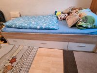 Bett für Kinder, Jugendliche oder Erwachsene Sachsen - Chemnitz Vorschau