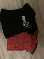 Puma Sportshirt Gr. M❤️ Nordrhein-Westfalen - Warstein Vorschau