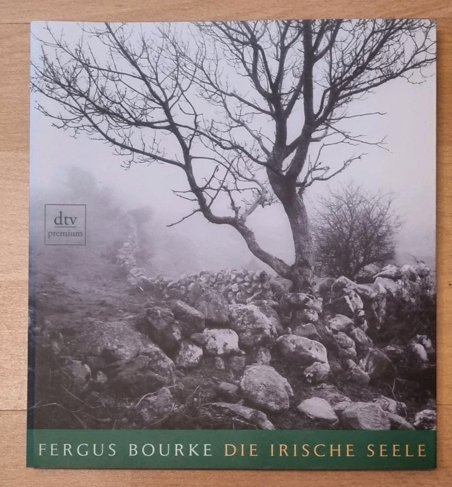 Fergus Bourke - Die irische Seele in Braunschweig