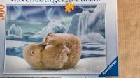 Ravensburger Puzzle 500 Teile Eisbären Rolle Rückwärts Baden-Württemberg - Bad Friedrichshall Vorschau