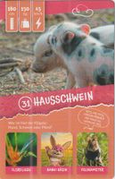 Rewe Sammelkarte Wilde Helden Karte 31 Hausschwein Baden-Württemberg - Eppelheim Vorschau