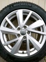 4× 215 55 R17 94V Michelin Winterreifen auf Audi Q2, Q3 Alufelgen Nordrhein-Westfalen - Detmold Vorschau