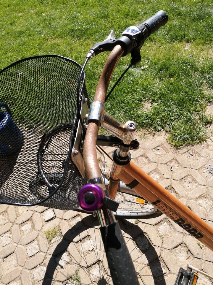 Damen City Bike in Oldendorf (Landkreis Stade)