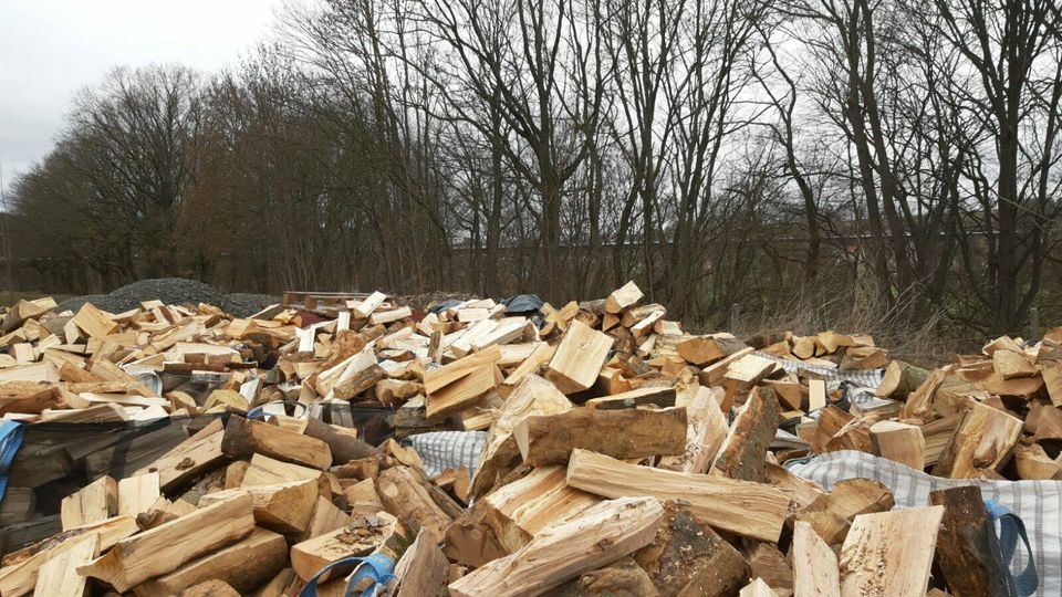 7 Srm Brennholz Kaminholz Buche   inkl.Lieferung in Schmalkalden