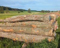 30RM Buche Stammholz Hartholz Bayern - Vestenbergsgreuth Vorschau