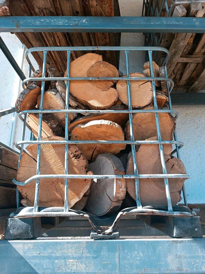 Holzscheiben...ganz viele zu verkaufen. Sind trocken in Geisenfeld