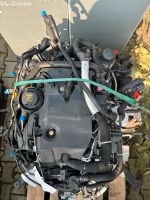 Motor Jaguar XF , Velar , 204PT Brandenburg - Frankfurt (Oder) Vorschau